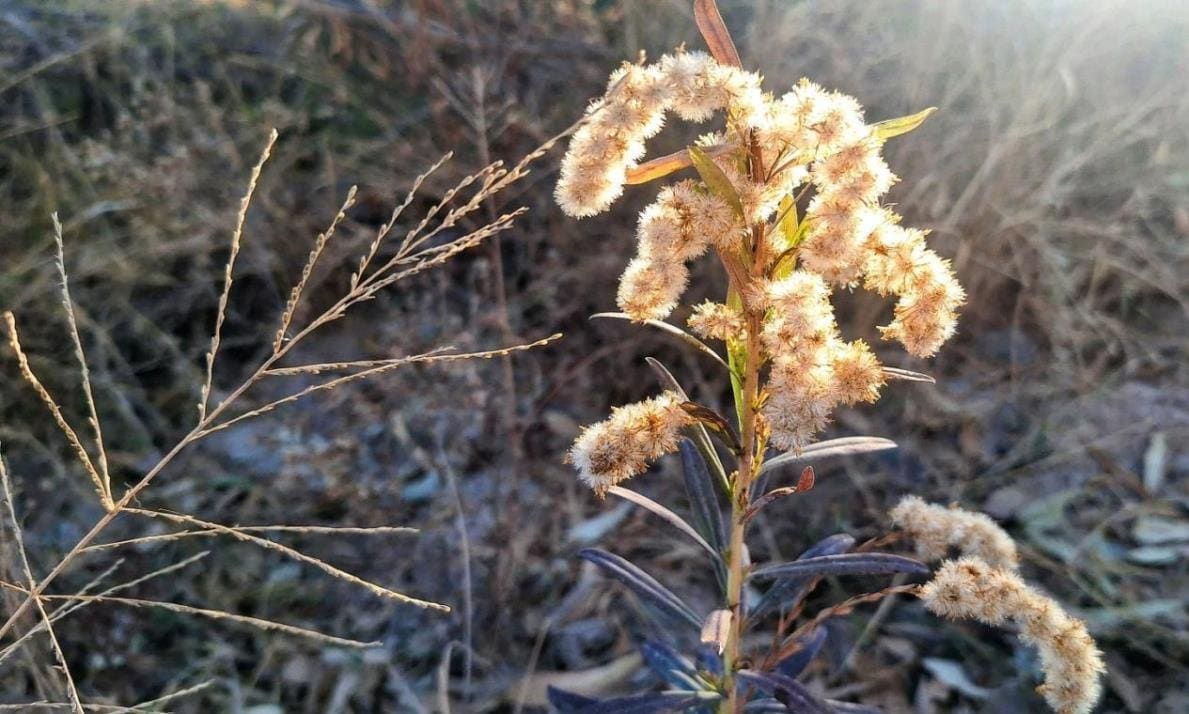 Caricias del sol de otoño en San Juan
