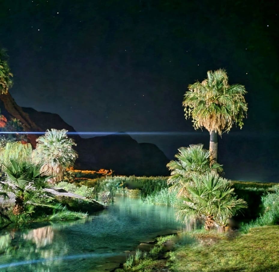 Reflejos en el agua negra