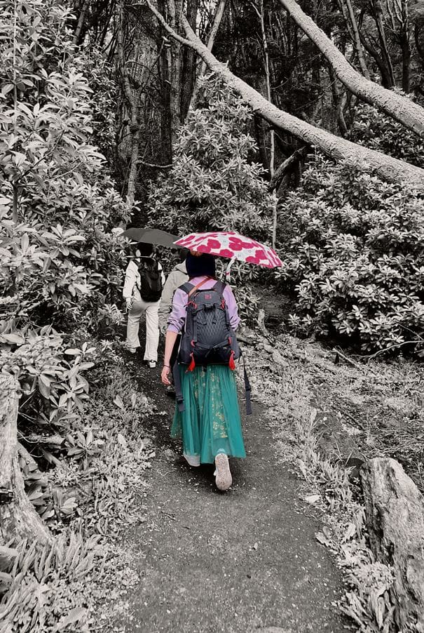 Fin del mundo en Sushi