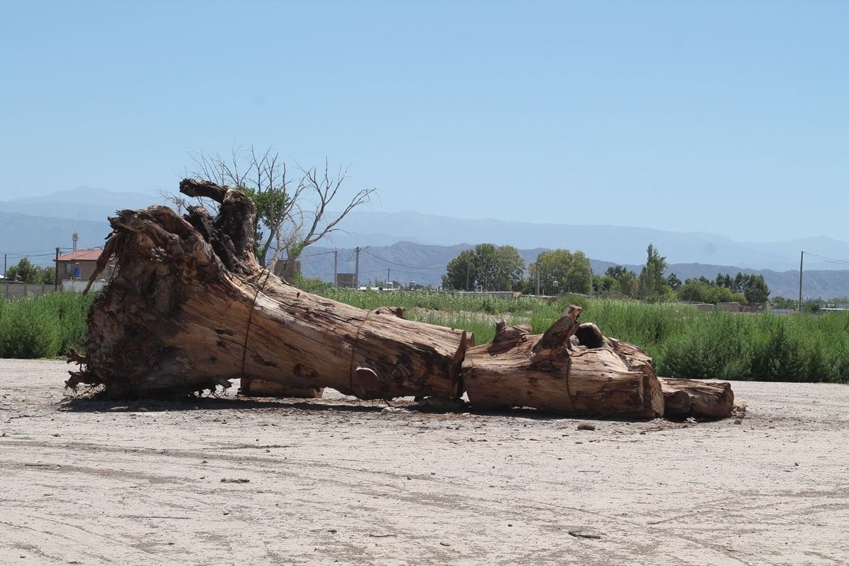 Como no hacer un paisaje