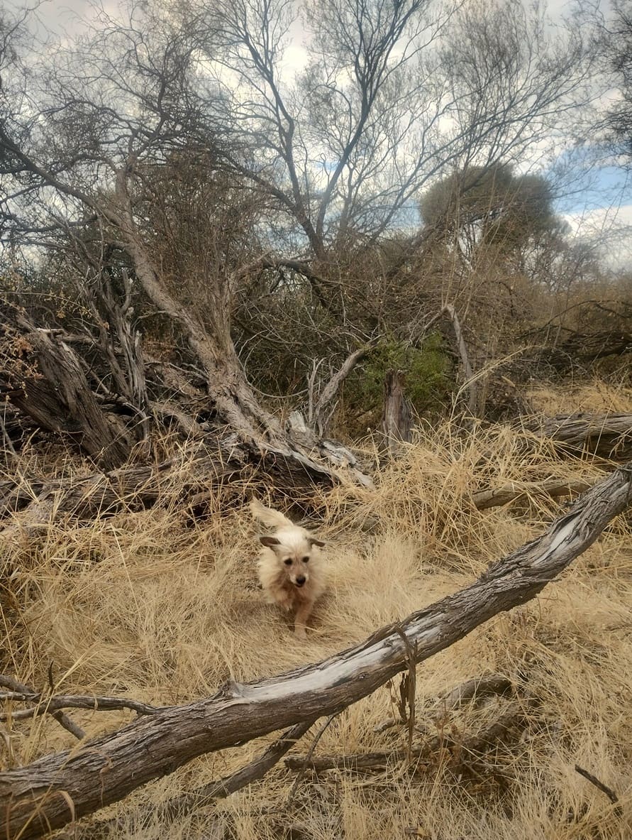Atravesando el Valle