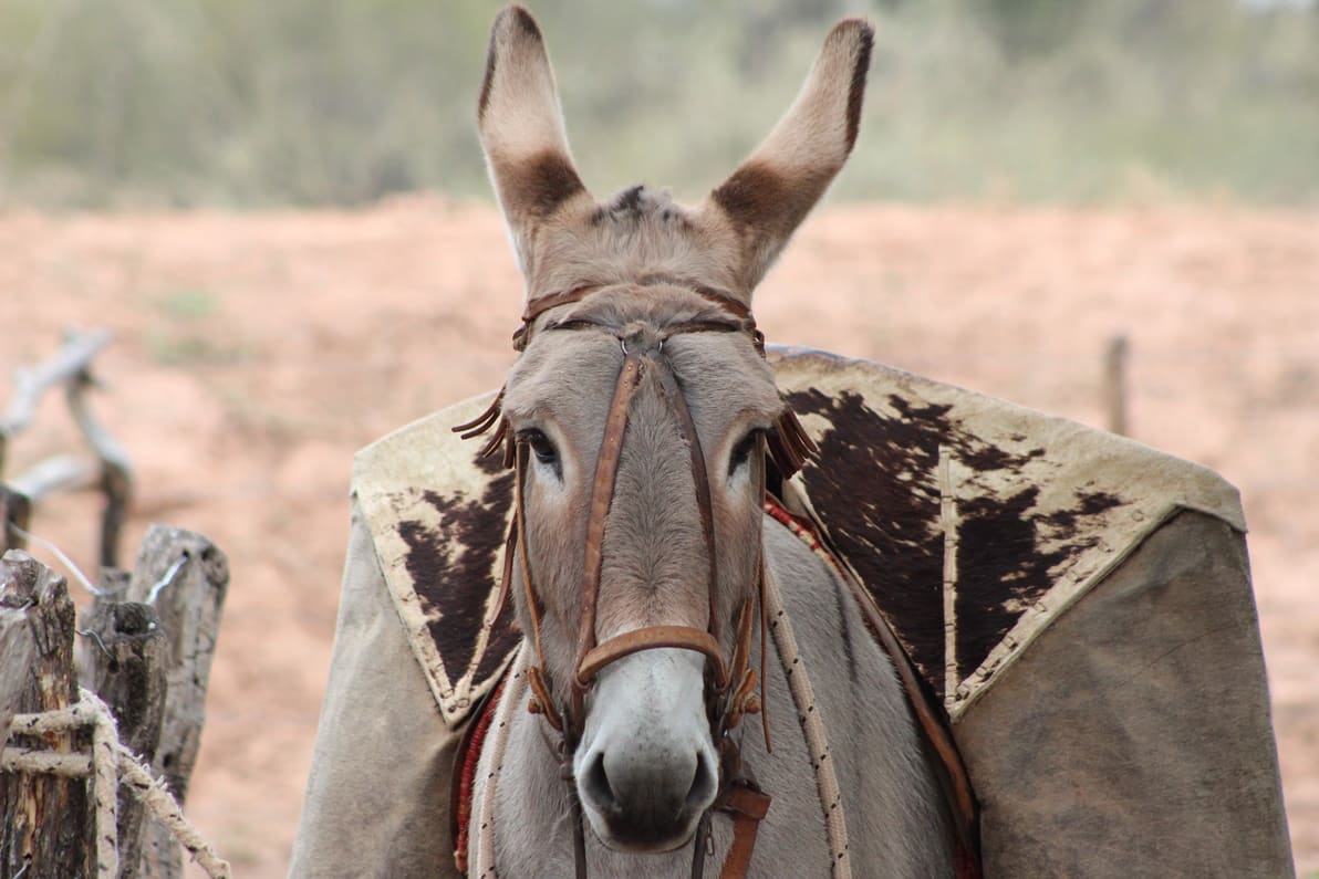 La carga que nadie ve
