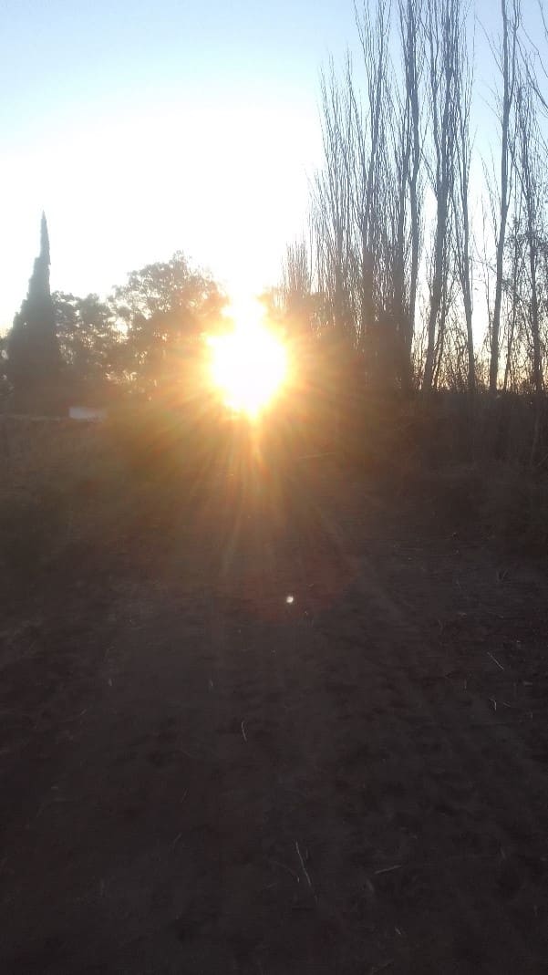 Señales: Corazón Jesús