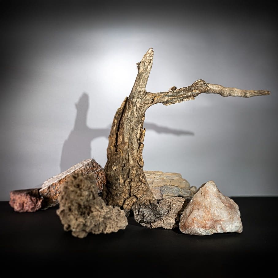 Mausoleo para una abeja