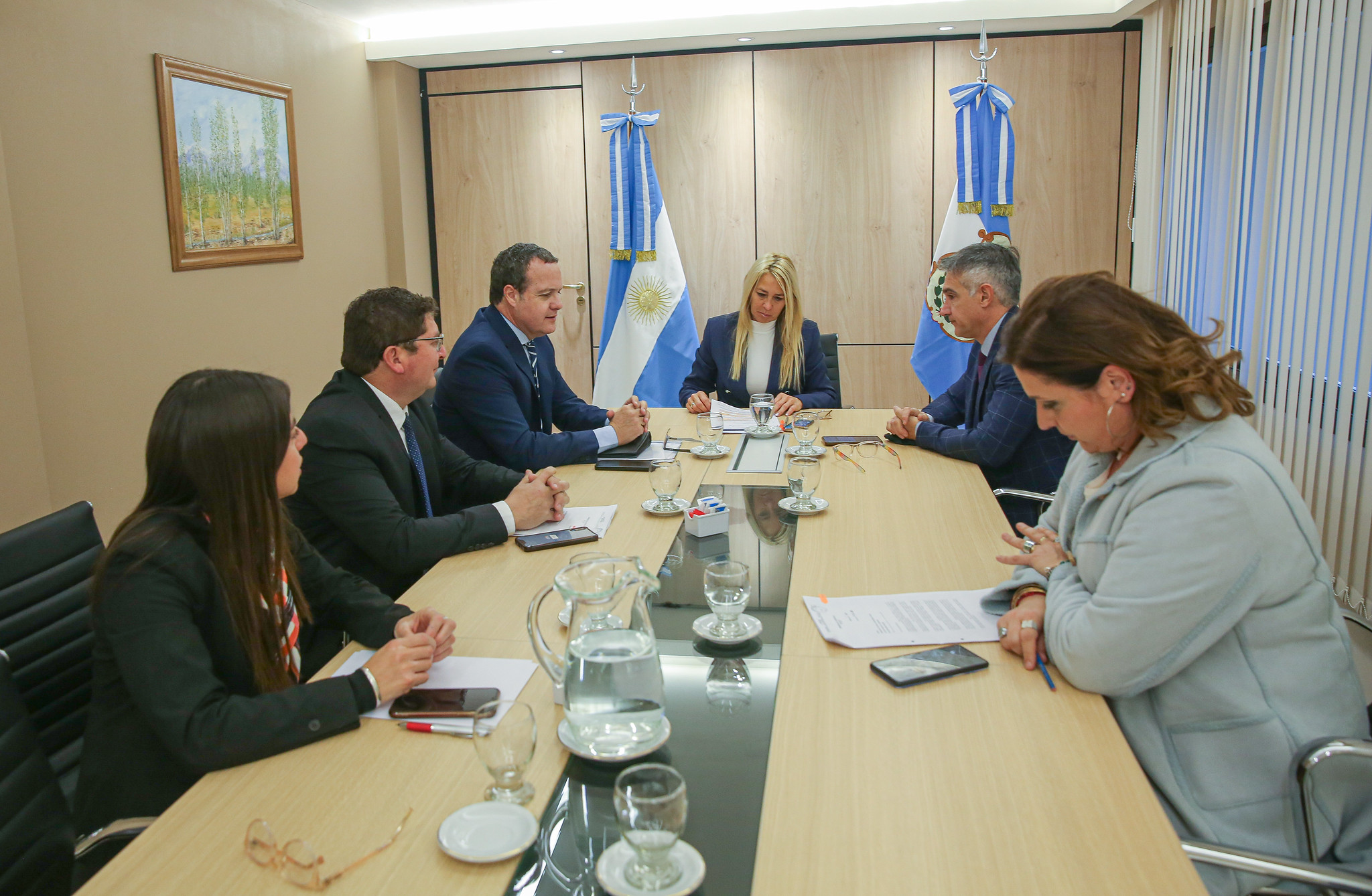 Reunión de la Comisión de Desarrollo Humano y Laboral 