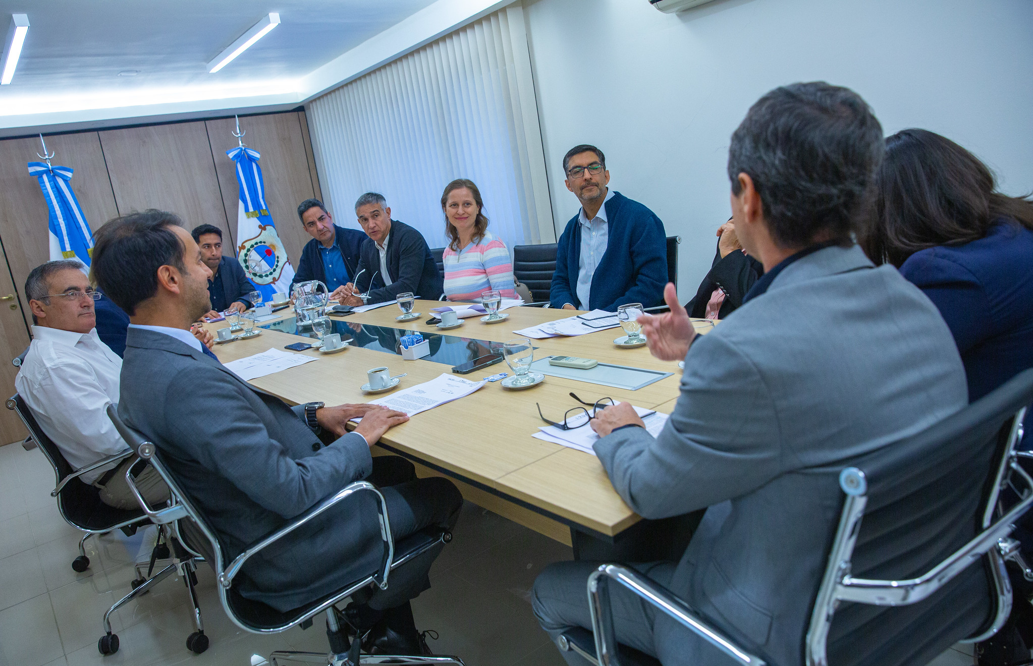 Continua el tratamiento del proyecto sobre Etiquetado de Viviendas