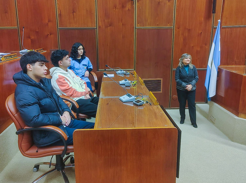  El colegio Dante Alighieri visitó la Legislatura