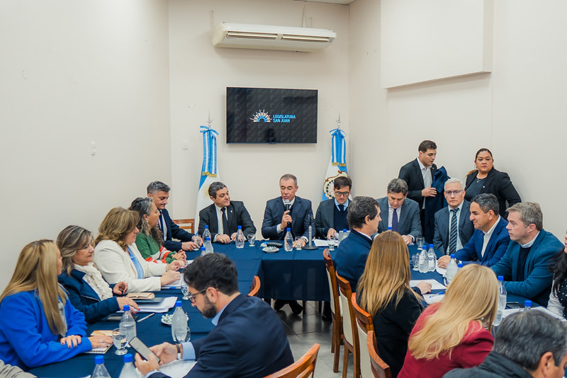 Las comisiones analizaron los acuerdos con Vicuña y Vialidad Nacional