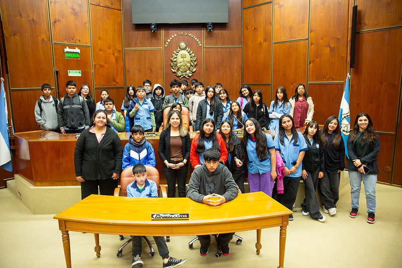 El Colegio Provincial de Santa Lucía presente en la Legislatura