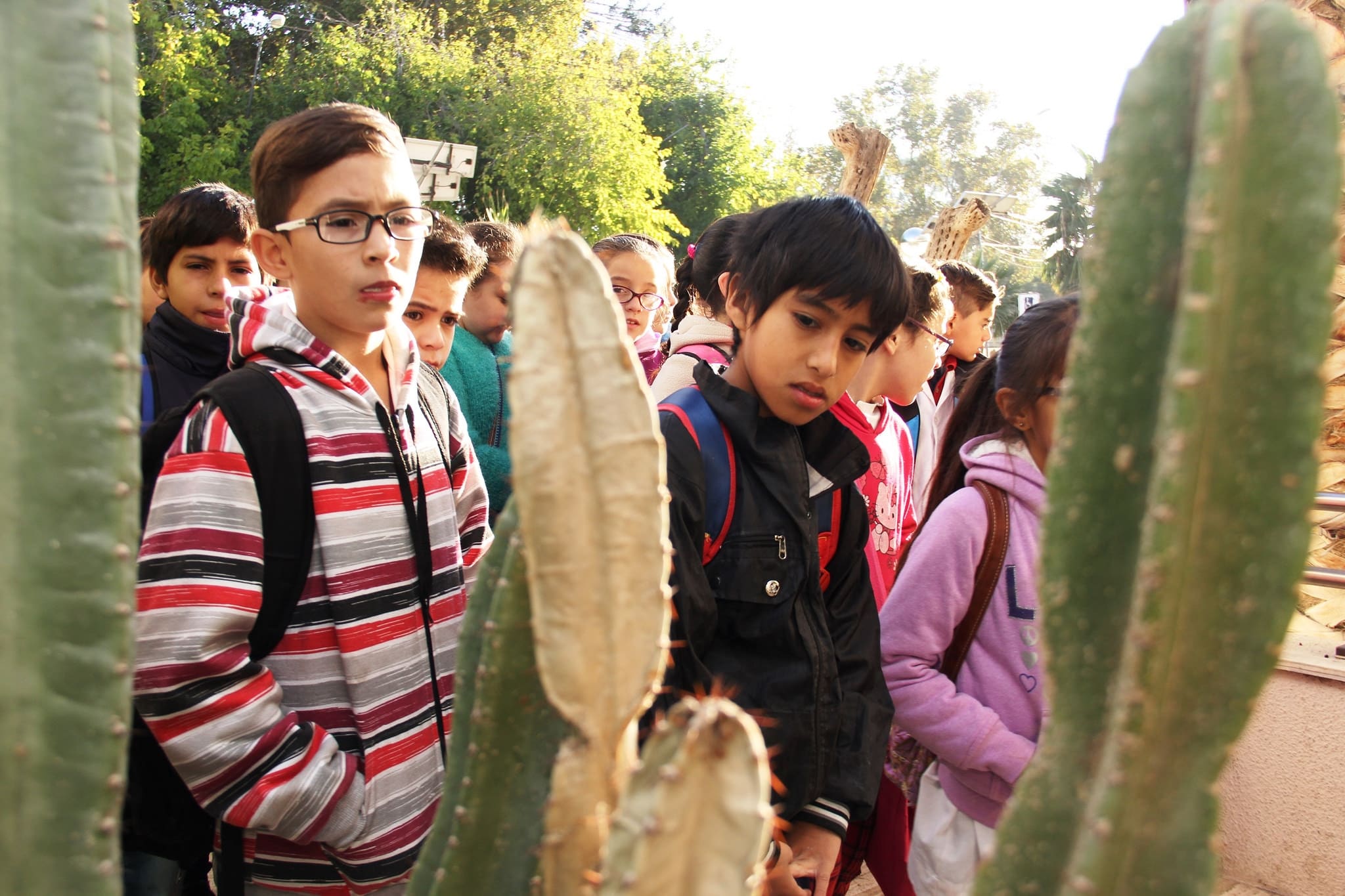 Alumnos de la escuela Provincia Santiago del Estero presentes en el Jardín de las Cactáceas de la Cámara de Diputados de San Juan. 