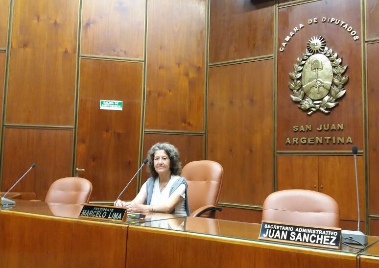 Una turista de Buenos Aires visitó el Poder Legislativo