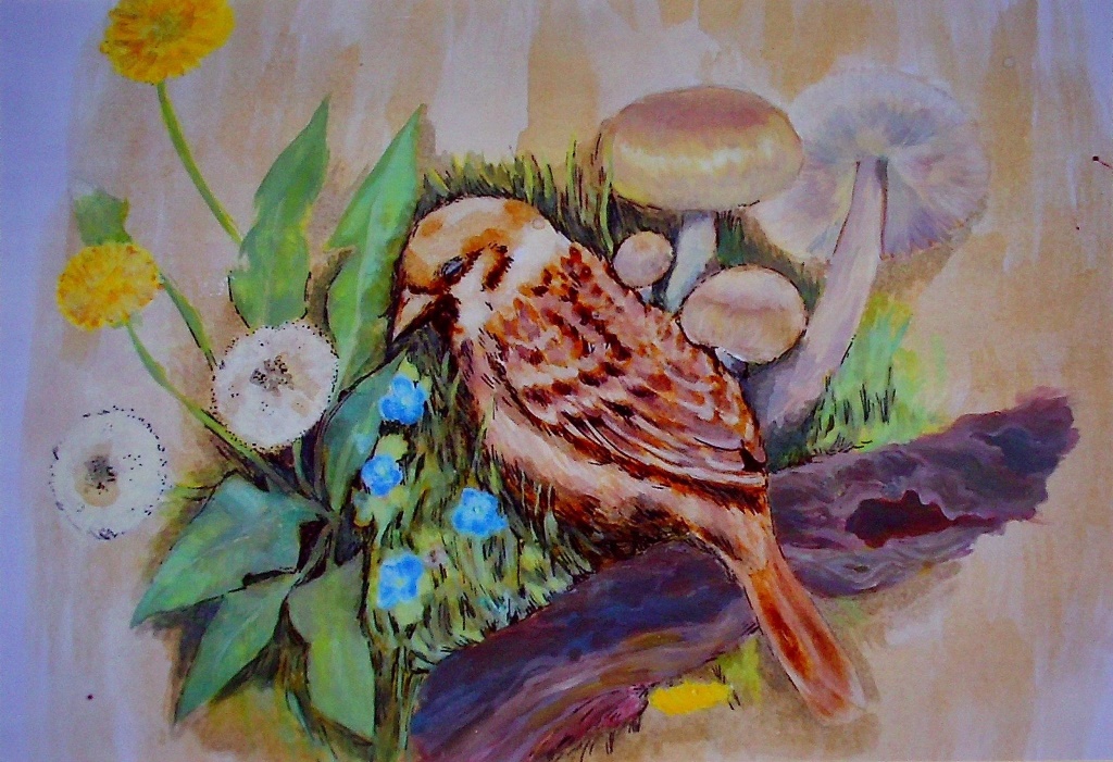 Ciclo