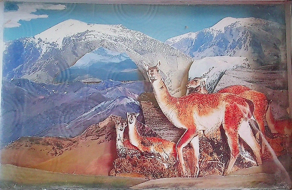 Campo La puerta