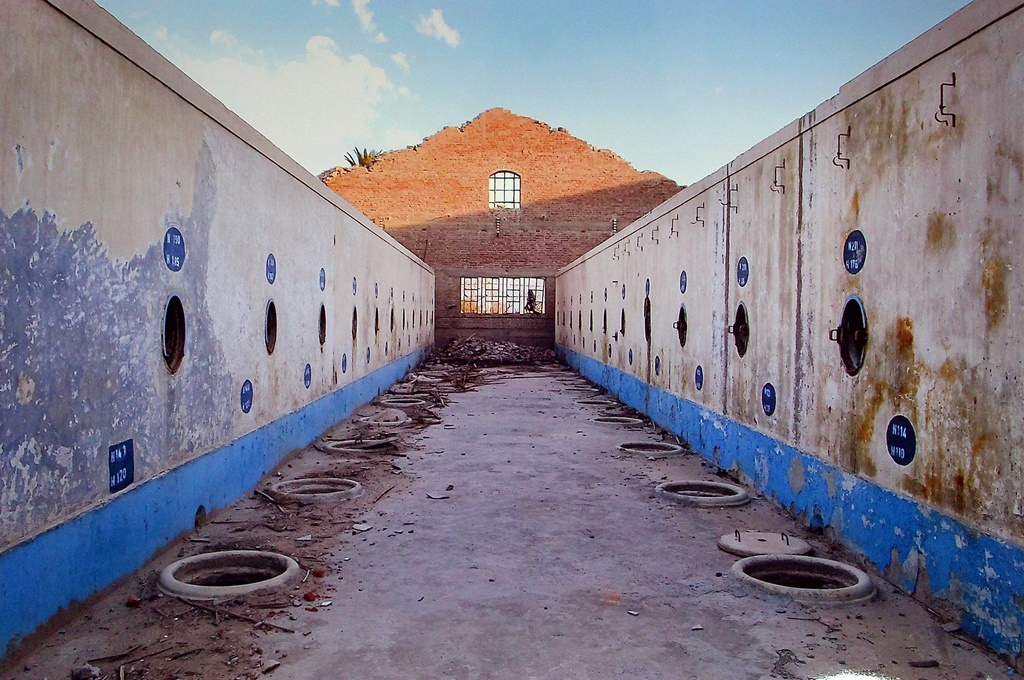 Umbral, ruinas Bodega La Superiora - Rawson