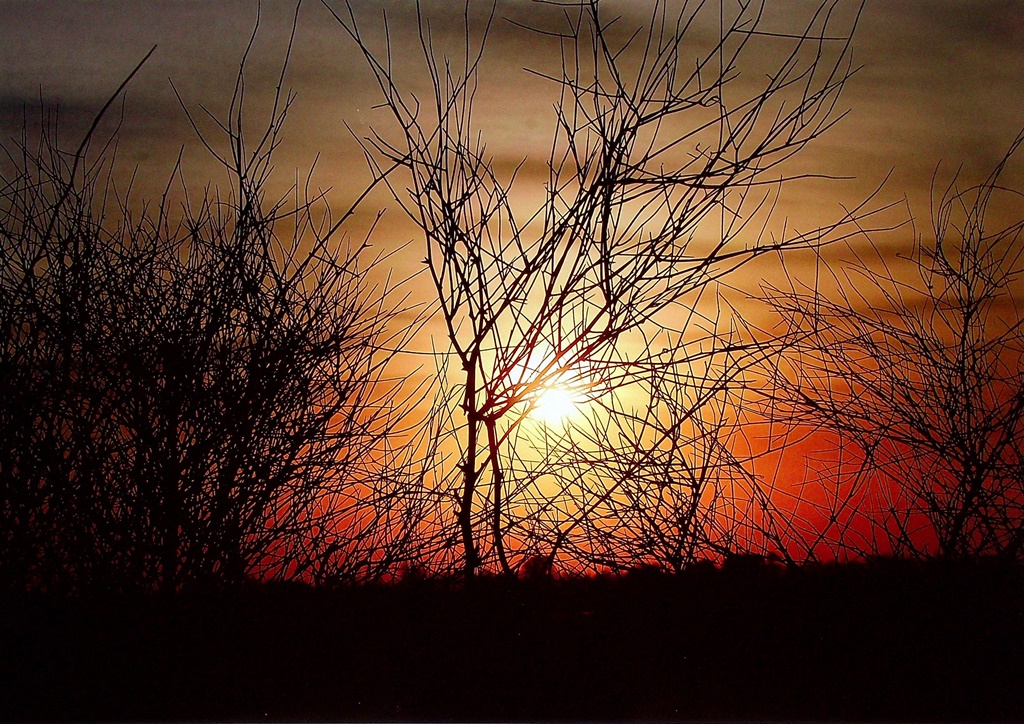 Atardecer en ocres