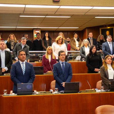 La Legislatura sancionó la Campaña Provincial de Concientización sobre Sífilis