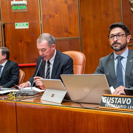 La Cámara de Diputados aprobó el Acta Compromiso con Vicuña