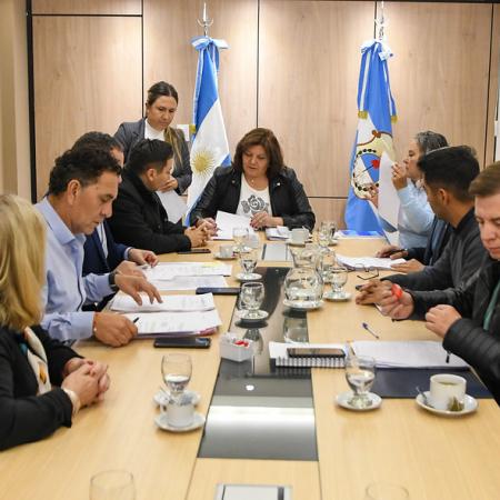 La comisión de Educación trató diversos proyectos 
